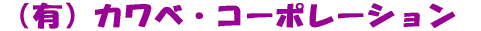 �L����Ё@�J���x�E�R�|���[�V����